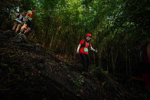 BIB: 
                            <button type="button" onclick="openModal(25099455)" class="btn btn-primary btn-sm float-right btn-popup" data-toggle="modal" data-target=".modal-high-quality">
                        <i class="fas fa-shopping-cart"></i> Add to Cart
                    </button>
                                            <button type="button" onclick="isThisMe(25099455, true)" class="btn btn-success btn-sm float-right btn-popup btn-isme hidden" data-toggle="tooltip" data-placement="bottom" title="นี่คือรูปของคุณใช่ไหม คลิกที่นี่เพื่อเอาเข้าอัลบั้ม">
                        <i class="fas fa-plus"></i> Add to album
                    </button>
                    <button type="button" onclick="isThisMe(25099455, false)" class="btn btn-warning btn-sm float-right btn-popup btn-isnotme hidden">
                        <i class="fas fa-ban"></i> Remove from album
                    </button>